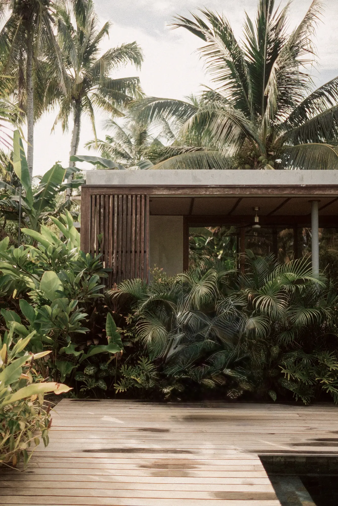 Villa exterior surrounded by tropical garden