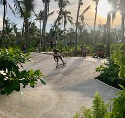 Shaka Brah Surfskate Park